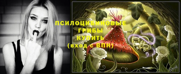 ГАЛЛЮЦИНОГЕННЫЕ ГРИБЫ Алзамай