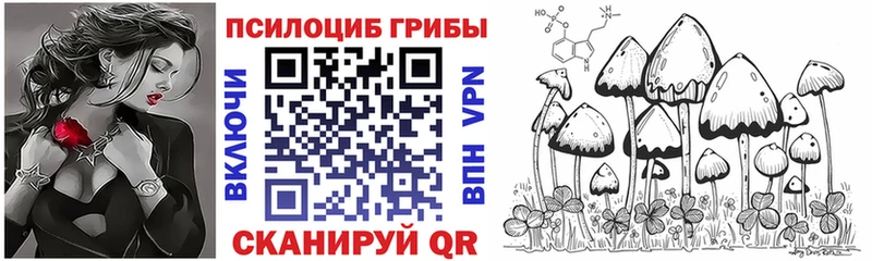 где купить наркотик  blacksprut маркетплейс  Псилоцибиновые грибы Magic Shrooms  Десногорск 