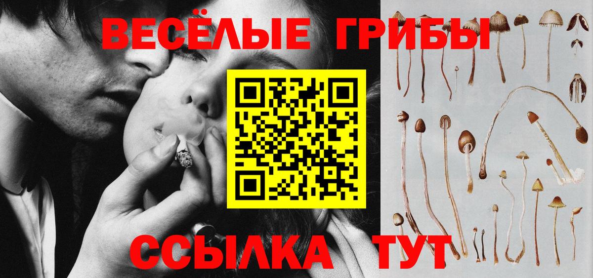 Десногорск  Галлюциногенные грибы GOLDEN TEACHER  Вход с VPN 