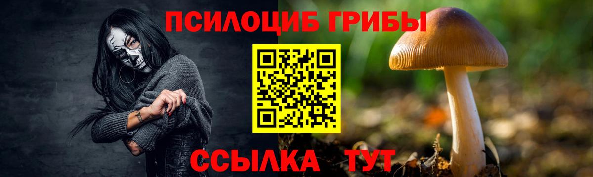 Галлюциногенные грибы Cubensis Десногорск